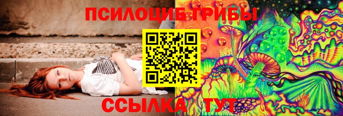 Галлюциногенные грибы Psilocybe Шадринск